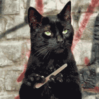 1571370810825601.gif